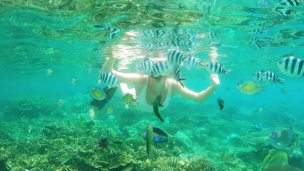 Wall Mural - Woman, swimming and coral reef with fish snorkeling in Indonesia for vacation, ecology or underwater adventure. Female person, island trip and sea bed for animal wildlife or plants, diving for travel