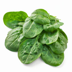 vegetable, food, leaf, lettuce, salad, spinach, fresh, isolated, healthy, leaves, organic, cabbage, diet, raw, white, ingredient, vegetarian, plant, vegetables, green, vitamin, health, head, nutrition