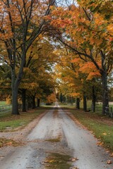 Canvas Print - A scenic dirt road surrounded by trees. Ideal for nature and travel concepts