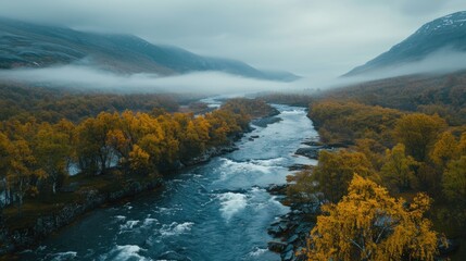 Poster - A scenic view of a river running through a lush green forest. Ideal for nature and outdoor themes
