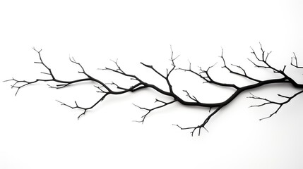 Tree branch silhouette in the winter season isolated on a white background.