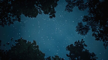 Poster - A beautiful night sky with stars shining above trees. Perfect for nature and astronomy concepts