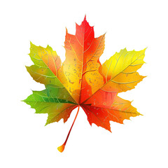 Wall Mural - Colorful autumn maple leaf isolated on white or transparent background