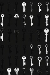 Poster - A bunch of keys on a black background. Perfect for security or access concepts