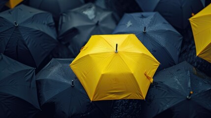 Poster - A group of black and yellow umbrellas, suitable for various outdoor events