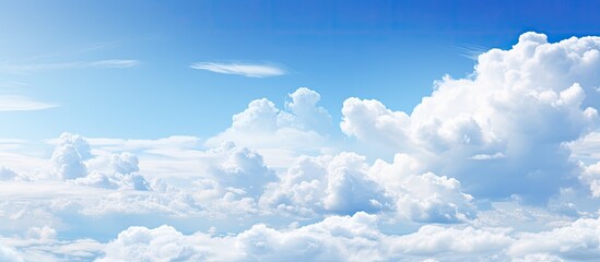 Wall Mural - A picture capturing the moment of a plane flying gracefully in the vast blue sky
