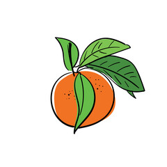 Wall Mural - Tangerine, mandarin, orange line icon. Citrus fruit one line hand drawn silhouette. Organic, vegan concept. Modern minimal style linear logo sign. Isolated vector scribble simple logotype