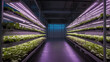 Indoor Vertical Farming with Hydroponic System Technology. Modern indoor vertical farm with rows of plants growing with hydroponic system technology and LED lighting.