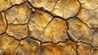 Cracked earth texture. Arid, dry, desert ground. Global warming consequences.