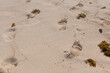 FOOTPRINTS IN THE SAND.