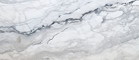 Wall Mural - A detailed closeup capturing the intricate pattern of a white marble texture, resembling a frozen landscape with liquidlike veins running through it