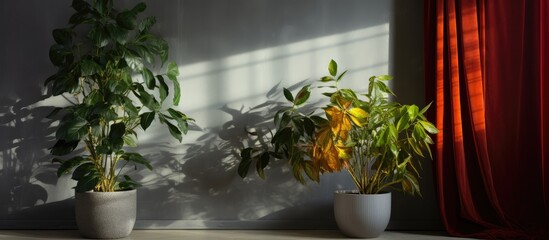 Wall Mural - Two green potted plants elegantly placed on a wooden table in front of a large window with natural light streaming in