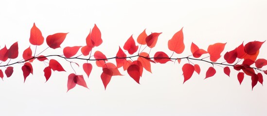 Sticker - A line of red leaves resembling a row of tiny flames on a blank canvas. The contrast between the vibrant color of the petals and the white background creates a striking visual effect