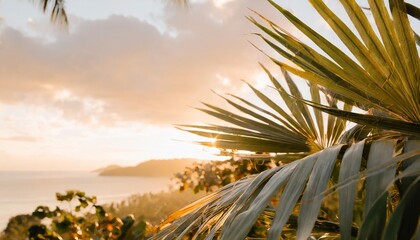 Wall Mural - tropical leaves background