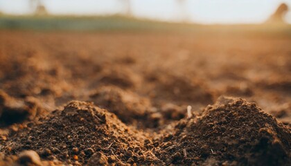 environment detail agriculture farm closeup environmental botany earth ground arid dust background close soil dark clay texture dirty gardenin clod fresh brown garden abstract background dirt field