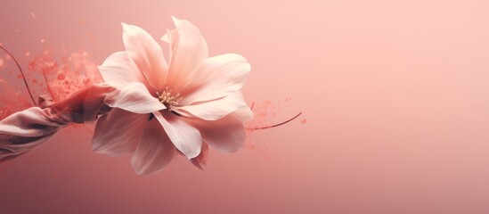 Wall Mural - a closeup shot featuring a delicate pink petal of a flower, set against a soft pink background, show