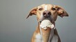 dog eats Ice-cream in a waffle horn