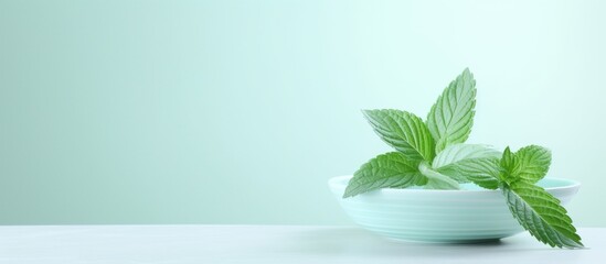 Canvas Print - Fresh mint leaves displayed in a white bowl on a table, showcasing the vibrant green color of the plant. The bowl is rectangular in shape and filled with water