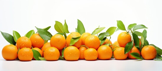 Sticker - A bunch of oranges, a fruit from a terrestrial plant with green leaves, displayed on a white surface. Oranges are a staple food and versatile ingredient in many recipes