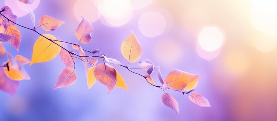 Canvas Print - A detailed closeup of a twig with green leaves on a purple background, showcasing the natural beauty of a flowering plant in a unique setting