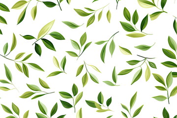 Wall Mural - green leaves on white background