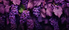 A Cluster Of Purple Grapes Hangs From A Vine Surrounded By Vibrant Purple Leaves, Resembling A Beautiful Flowering Plant In Shades Of Violet, Magenta, And Electric Blue