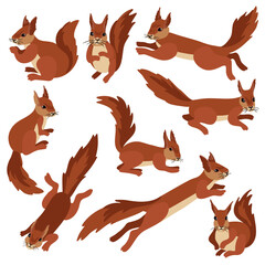 Wall Mural - vector drawing squirrels, hand drawn animals isolated at white background , cartoon style characters