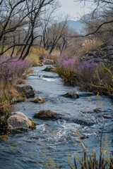 Poster - River with rocky bed and purple flowers on banks