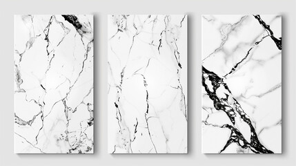 Elegant marble texture set. Vector background collection with black, white line pattern for cover, invitation template, wedding card, contemporary menu design,