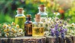 Nature's Apothecary: Crafting Medicinal Extracts with Selective Focus on Dried Garden Herbs