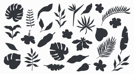 Wall Mural - Tropical exotic summer set of leaves, flowers, and plants. Abstract silhouettes