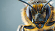 close up of a bee Generative AI copy space isolate A bee standing on honey bread with isolated background.Close up view.Copy space.Created with generative ai
