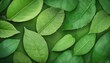 Green leaves pattern for summer or spring season concept,leaf with bokeh textured background