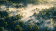 Enigmatic Mist Engulfing Enchanted Woodlands