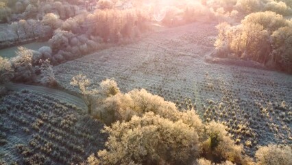 Wall Mural - Vue aérienne d'un lever de soleil sur la campagne givrée, Bretagne