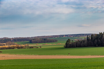 Wall Mural - Springtime landscape in central Europe