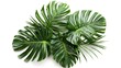 The composition of green leaves of tropical plants, creating the image of a shrub, will become a bright accent in the interior, adding freshness and naturalness to the room.