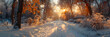 Odessa Boulevard Winter ,
The sun is setting in a snowy forest
