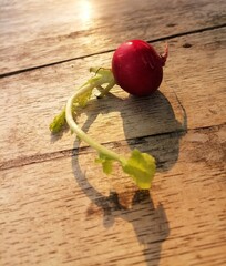 Sticker - Fresh red radish vegetables on wooden background.