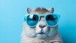 Cute hamster with stylish sunglasses on blue background, space for banner design