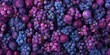 Organic Fruit Texture With Various Berries