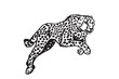 Graphical  leopard jumping on white background, vector illustration. Tattoo design