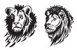 Portraits of lion in tattoo style, graphical illustration on white background	