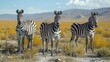 A group of zebras grazing on the open savannah. AI generate illustration