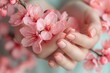 Hands cradling cherry blossoms, showcasing gentle touch. Generated AI.
