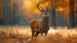 A majestic deer with impressive antlers standing proudly in a serene woodland setting. AI generate illustration