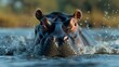 A hippopotamus submerging into a river with only its nostrils and eyes visible. AI generate illustration