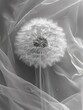 Dandelion with water droplets on translucent fabric. Generated AI.