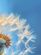 Macro photograph of dandelion seeds against a blue sky. Generated AI.