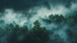 Mystical Fog Enveloping Dense Forest